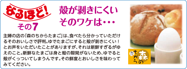 その7　殻が剥きにくいそのワケは…