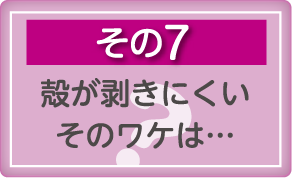 その7　殻が剥きにくいそのワケは…